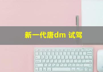 新一代唐dm 试驾